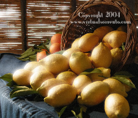I limoni della Penisola Sorrentina (Foto Giuseppe  Ruggiero )