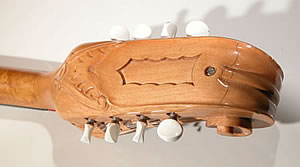 The “paddle” of the mandoloncello (Photos by Giuseppe Ruggiero). 