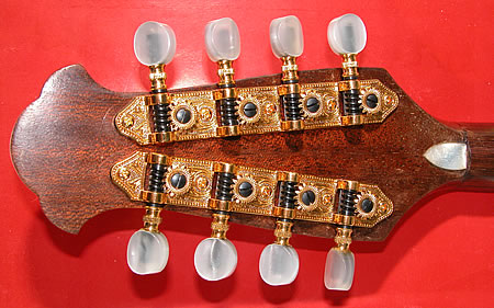 La meccanica del mandolino