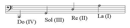 Mandoloncello - The notation