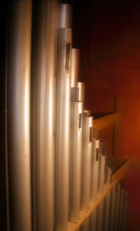Canne dell'organo della Cattedrale di Sorrento (Foto Giuseppe Ruggiero).